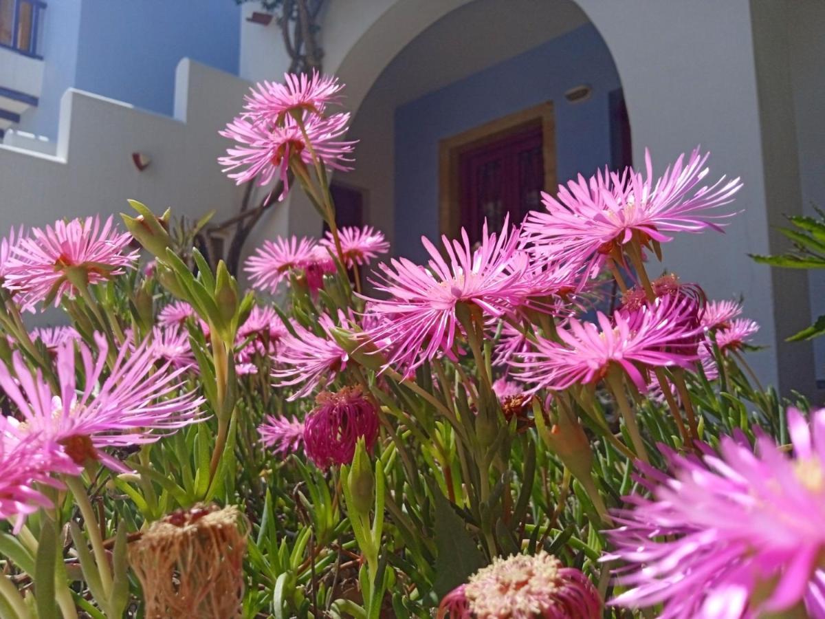 Nefeli Hotel Leros Agía Marína Exterior foto
